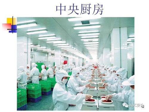 食品安全法與餐飲服務 筑牢健康防線，守護“舌尖上的安全”