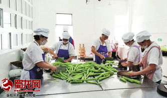 綿陽市“明廚亮灶”工程成效顯著，餐飲服務單位覆蓋率突破75.5%